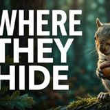 The Secret to Squirrel Intelligence That Will Surprise You