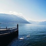 Episode 1705 - Jarvis Kingston Brandon Clarke Al Nassr Eurovision News Atletico Madrid Russia Ship Nuclear Real Betis Elche CF Coco Gauff !