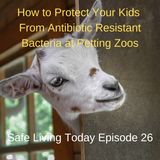 How to Protect Your Kids From Antibiotic Resistant Bacteria at Petting Zoos