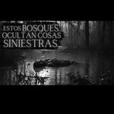 Conocías la historia de este bosque de Estados Unidos? I 3 HISTORIAS de TERROR en BOSQUES Vol. II