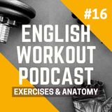 #16 Conversations at the Gym - Exercises and Anatomy