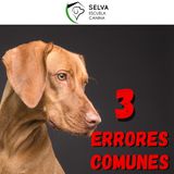 3 COSAS que NO DEBERÍAS HACER con tu PERRO