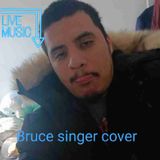 Bruce Singer's un-Break my heart cover
