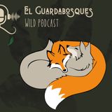 Ep. 00 | Madrigueras