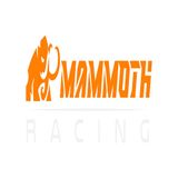 Mammoth Racing: Fueling Passion, Performance, and Community