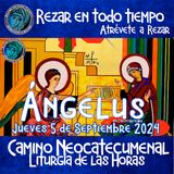 ángelus del día de hoy.  JUEVES 5 DE SEPTIEMBRE 2024, 🌹Oración diaria del angelus a la Virgen María💙