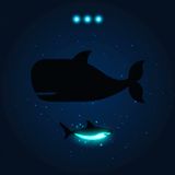 The Shark That Bites Whales
