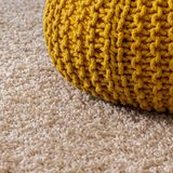 Top 5 Considerations When Dealing with Water Damaged Carpet