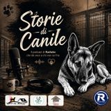 La storia di Fofo, da invisibile a esempio da raccontare