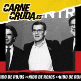 Los Rubiales: Feijóo, Aznar y la Federación (NIDO DE ROJOS - CARNE CRUDA #1239)