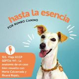Viaje ECCP SEPT26 W1 - La anatomía de un caso bien resuelto