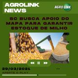 Abastecimento de milho em Santa Catarina, geada no Sul e crédito agrícola