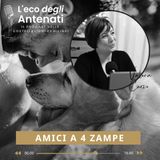 Amici a 4 zampe - episodio 29