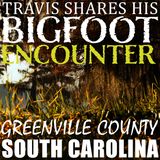 BIGFOOT ENCOUNTERS AND EXPERIENCES FROM GREENVILLE/SPARTANBURG COUNTY SOUTH CAROLINA