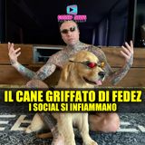 Il Cane Griffato di Fedez: I Social Si Infiammano!