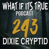Archive 243 Bigfoot Stories