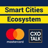 Smart Cities, Ecosystems, and Financial Inclusion
