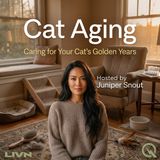 Cat Aging - Ramps, Rugs, and Routine: Redesigning Home for an Older Cat