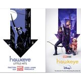 Hawkeye Squared: from Comics to Disney+