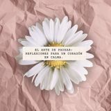 188 - El arte de pausar: reflexiones para un corazón en calma