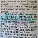 the Serpant Deception Sin Man's Fall and Redemtion