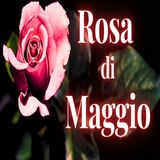 Rosa di Maggio - un racconto di Zelcor