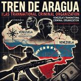 Tren de Aragua: Venezuela's Transnational Criminal Organization