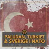 Paludan, Turkiet och Nato