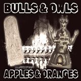 Bulls & Owls Apples & Oranges (2/17/26)