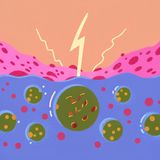 The Hidden Science of Zeta Potential and Water's Fourth Phase