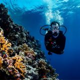 Coral genomes to combat bleaching