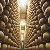 Cons. Parmigiano Reggiano, Pres. Bertinelli: «Abbiamo un patrimonio unico al mondo»