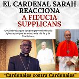 El Cardenal Sarah reacciona a Fiducia Supplicans: "es contraria a la fe y a la Tradición católicas".