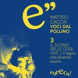 Il suono delle cose vive / Il legno che diventa suono