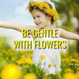 Be Gentle With Flowers - Morning Manna #3077