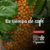 Boletín 01-2024 | Plataforma Multiactor del Café de Cajamarca
