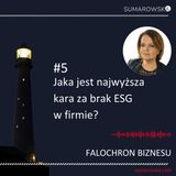 5. Jaka jest największa kara za brak ESG w firmie