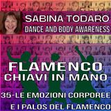 #35 Emozioni corporee e Palos del flamenco - Flamenco Chiavi in Mano
