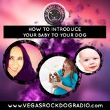 How To Prepare Your Dog For A New Baby