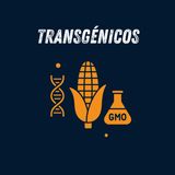 🌽 Transgénicos | Temporada 2 #2