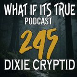 Archive 245 Paranormal