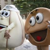 Formaggi & Sorrisi, dal 28 al 30 marzo 2025 torna a Cremona!