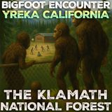 BIGFOOT ENCOUNTER IN YREKA CALIFORNIA (THE KLAMATH NATIONAL FOREST) THREE CREATURES WATCHING US PLAY