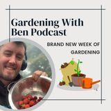 Brand new Gardening week in the garden and allotment