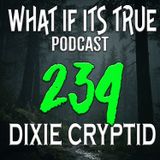 Archive 234 Chained Light and Flying Dogs