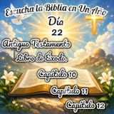 Escucha la Biblia en un año - Día 22
