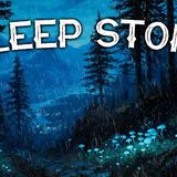 A Rainy_ Meditative Forest Walk_ A Soothing Sleep Story