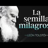 La semilla milagrosa   León Tolstói Cuentos