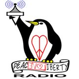 PLL Radio 299