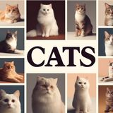 Cat Behavior and Communication - Decoding the Enigmatic Feline World